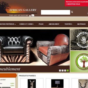 Site Internet African Gallery, ameublement et art africain